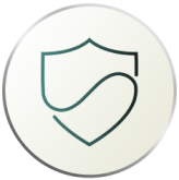 Circled icon with shield inside