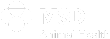 MSD Animal Health logo in white